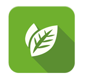 Sostenibilidad y Eco-amigabilidad